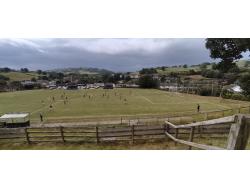 Mount Field