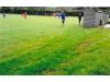 NFU Sports Ground