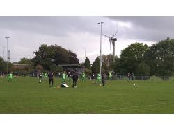 Oaklands Park