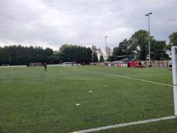 Pack Meadow