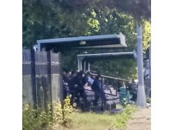 Petersfield Park