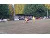 Plough Road