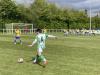 Potyns Field