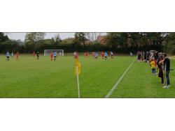 An image of Priory Park uploaded by petrovic80
