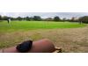 Priory Park