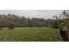 Rhayader Rugby Club