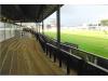 Rodney Parade