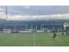 Stourton Park 
