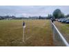 The Bell Field