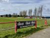 The Dingle Field
