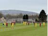 The Dingle Field