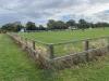 The Elm Tree Ground