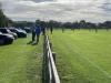 The Elm Tree Ground
