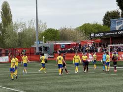 The Lamb Ground