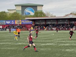 The Lamb Ground