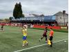 The Lamb Ground