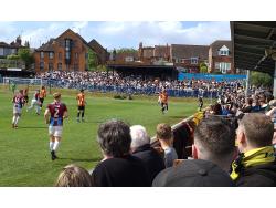 The Memorial Ground