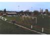 The Red Lion Ground