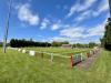 The Rich Field