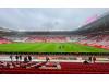 The Stadium of Light