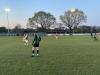 The Stag Ground