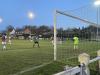 The Stag Ground