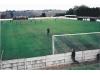 The Welfare Ground