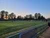 Top Field