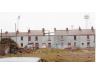 Vetch Field