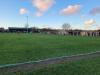Welfare Park