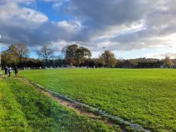 An image of Weycourt uploaded by harrysheroes