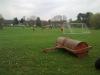 Wirksworth Recreation Ground