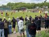 Woking Park