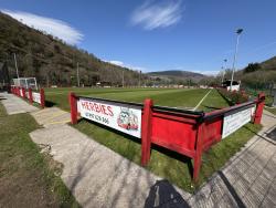 Ynys Park (Port Talbot)