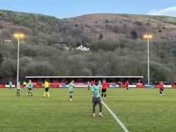 Ynys Park (Port Talbot)