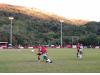 Ynys Park (Port Talbot)